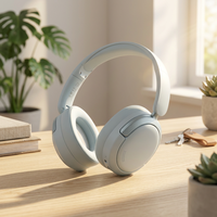 Nouveauté Casque sans fil personnalisé OEM Bluetooth Casque de jeu supra-auriculaire Casque de sport pour joueurs