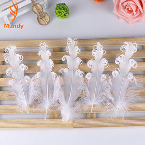 Plumas Nagorie Rizadas de Colores Mezclados Hechas a Mano, Plumas de Ganso Satinadas para Manualidades y Diseño, Venta al Por Mayor de Fábrica a Precios Bajos - Product Image 5