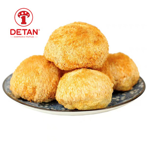 Detan-SETA seca de León, seta de cabeza de mono - Product Image 3