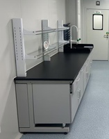 Table de laboratoire ODM en gros avec éviers pour laboratoires environnementaux et agricoles-sylvicoles, plan de travail en bois et acier à structure en C