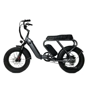 מחזור חשמלי אלומיניום מותאם אישית 2 מושבים אופניים חשמליים עירוניים 48 וולט 500 וואט אופניים חשמליים מתקפלים 20 אינץ' צמיג שמן אופניים חשמליים