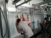 Línea de Sacrificio Halal para Cabras, Maquinaria para Mataderos de Corderos, Equipo para Mataderos Ovinos, Máquina para Sacrificar Ovejas