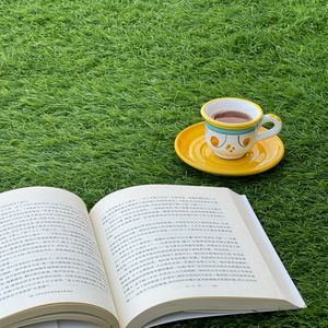 Tapis en herbe artificielle multifonctionnel - Imperméable et résistant à la décoloration, <span class=keywords><strong>pour</strong></span> une utilisation en intérieur et en extérieur, balcon, terrasse et événements - Product Image 1