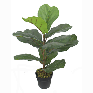 70cm de hauteur en plastique verdure plante artificielle blanc Ficus lyrata arbre blanc bord feuilles pour décoration de paysage haut de gamme - Product Image 3