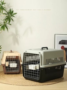 Livraison rapide compagnie aérienne approuvée Portable en plastique grand chenil de voyage aérien sur roues Pet chien chat transporteur caisse <span class=keywords><strong>Cage</strong></span> à vendre - Product Image 3
