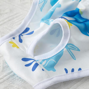 Pantalones fisiológicos para mascotas, bragas de princesa para mascotas, pantalones menstruales para perros, pantalones fisiológicos, pañales para perros, ropa para perros, Chihuahua - Product Image 3