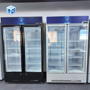 Lemari Pendingin Display Freezer Pintu Kaca Terjangkau 500L 300L Single 2 Pintu Freezer Komersial untuk Usaha Kecil - Product Image 1