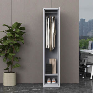 Armoire en acier avec serrure à clé, rangement en métal, 2 niveaux, simple, 1 porte, casier - Product Image 2