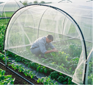 PE chống côn trùng <span class=keywords><strong>Net</strong></span> bảo vệ cây trồng cắn bởi côn trùng ngoài trời côn trùng bảo vệ <span class=keywords><strong>Net</strong></span> - Product Image 6