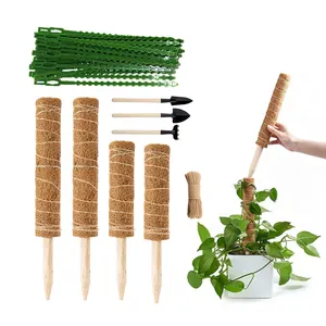 Bâtons de Coco grimpants, bâton de Coco Totem pour plantes d'intérieur, poteau de mousse épaisse