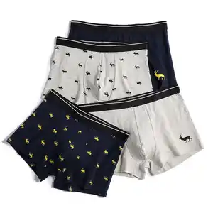 2023 Hot Sell Boxers En Coton Pictures Of Boxer For Man Sexy Men Underwear