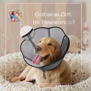 ปลอกคอและกรวยสำหรับสุนัขแบบปรับได้เพื่อการฟื้นตัวที่สะดวกสบาย - Product Image 4
