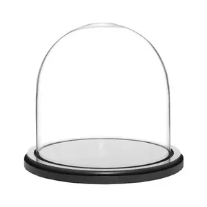 Bán buôn kích thước khác nhau hiển thị chuông Dome Jar trong suốt rõ ràng LED chiếu sáng ấm áp Glass cloche với gỗ cơ sở