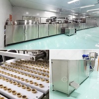 Ligne de production de barres chocolatées de haute qualité, mini, composée de plusieurs éléments, machine à fabriquer des pépites de chocolat