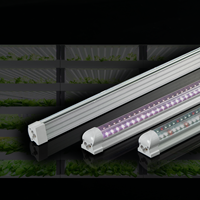 Lampe de culture LED pour plantes hydroponiques, pour une floraison intense, CRI 90 élevé, garantie 5 ans