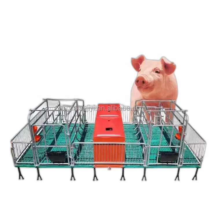 New đa chức năng mạ kẽm lợn nái mang thai Giường nhựa lợn farrowing Thùng bút sàn gian hàng Lợn trang trại lợn nái thiết bị bán lẻ