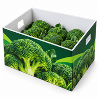 Boîte d'emballage personnalisée en PP ondulé pour légumes 500x270x270mm 3.5mm 850GSM avec impression sérigraphique et fentes de ventilation