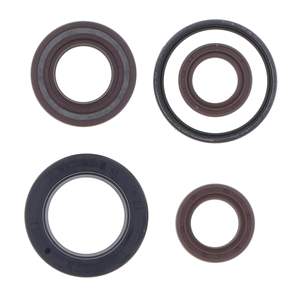 Kit de juntas de aceite - Product Image 2