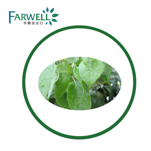 Naturel CAS #76-22-2 Poudre De Camphre Naturel BP, D-camphre - Product Image 1