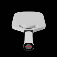 Nouveau noyau de propulsion en gros pagaie de pickleball Luxx thermoformée T700 en fibre de carbone pagaies de balle de cornichon à surface rugueuse