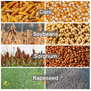 Macchina Trebbiatrice Multifunzionale per Mais, Grano, Sorgo e Soia |   Piccolo Generatore Diesel Portatile 4000kg/h 3-4KW - Product Image 2