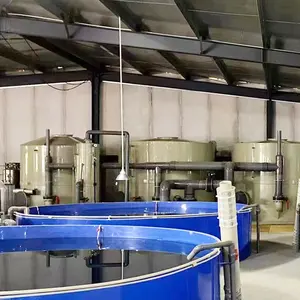 RAS Sistemas De Aquicultura Tilápia Truta Equipamentos De Agricultura Tanques De Piscicultura Interior Máquina De Incubação De Peixe Preço Sistema RAS