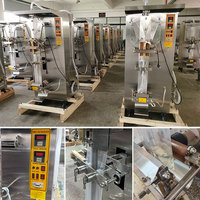Système de filtration d'eau RO à haute efficacité avec machine de remplissage automatique de sachets pour la production d'eau potable
