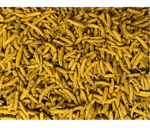 Cúrcuma de Grado Premium para Exportación, Dedos de Cúrcuma Secos Naturalmente, Haldi Crudo Entero para Suministro a Granel, Procesamiento de Alimentos, Condimento y Venta al por Mayor - Product Image 2