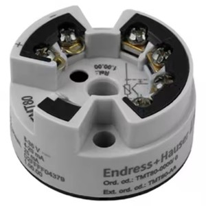 เซ็นเซอร์วัดอุณหภูมิแบบเทอร์มิคเรซิสต์ Endress+Hauser รุ่น TMT82-BAA2CB1A1AAA1+E1F1LA - Product Image 4