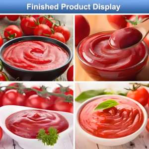 Lignes de transformation alimentaire haute performance pour la production de sirop et de confiture pour la confiture de framboises et autres confitures de fruits - Product Image 2