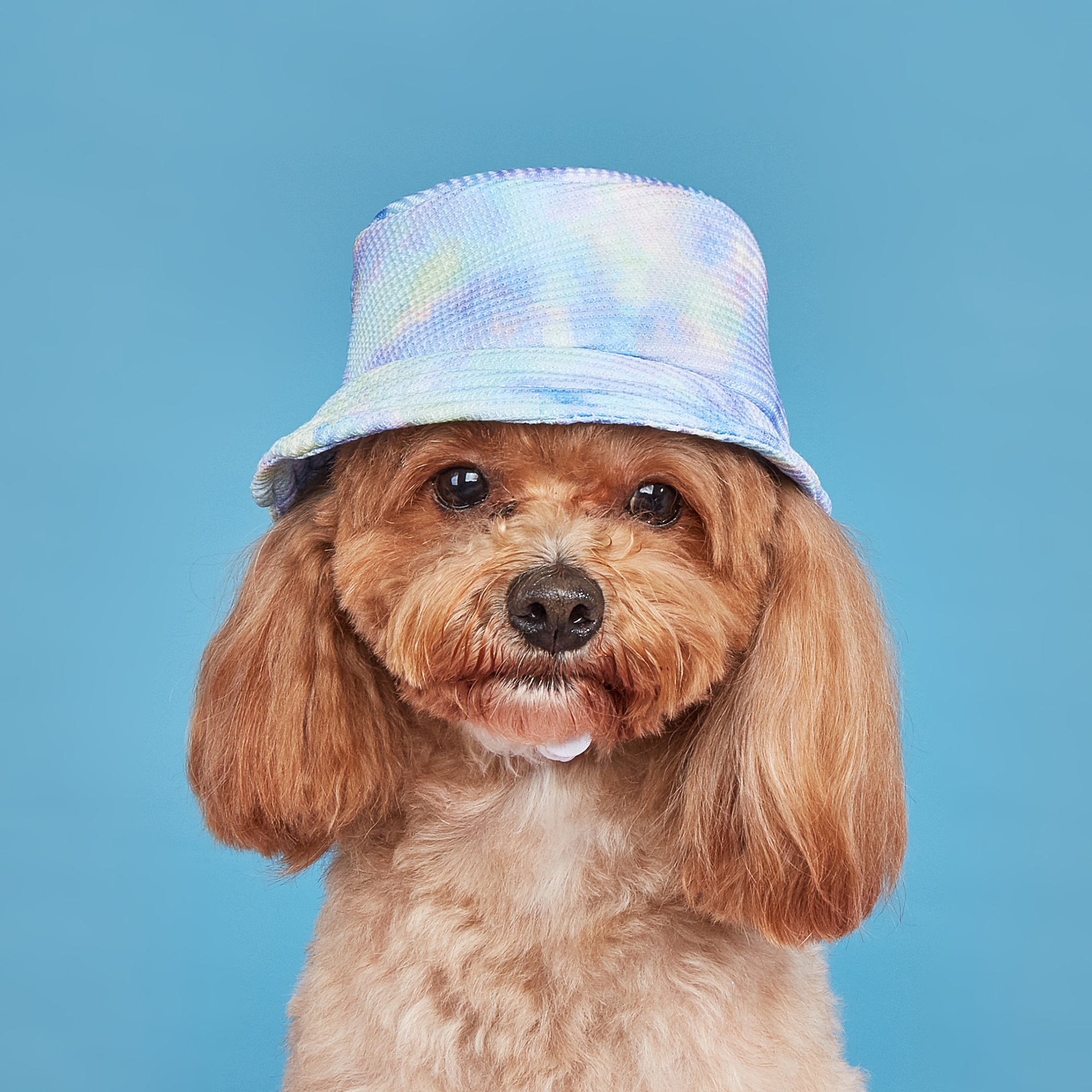 Sun Hat Puppy Visor Sun Protection Small Medium Outdoor Sport Pet