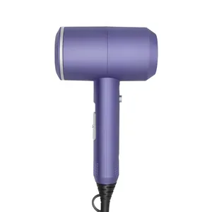 Negative Ion Hair Dryer High Speed Hair Dryer Temperature Control Household Hair Dryer Cold and Hot Air Drying Machine