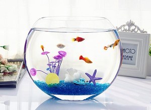 수족관 돌 색깔 있는 자갈 장식용 유리 조약돌 어항 돌 빨강 초록 파랑 발광 베스트셀러 색깔 자갈 조경 - Product Image 6