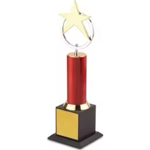 ดาวทองพร้อมแหวนถ้วยรางวัลสำหรับบริการลูกค้า - Product Image 3