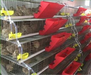 Nhựa Tự Động Gia Cầm Bird J Trung Chuyển 40Cm/45Cm/60Cm Dài Chim Bồ Câu Chim Cút Lồng Trung Chuyển Máng - Product Image 5