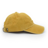 Chapeau de sport vintage avec broderie en détresse Casquettes en coton lavé de couleur unie à la mode Sporty Gorras