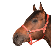 Vente en gros d'équitation Halter Premium Nylon Headstall de cheval Produits équins Cheval Halter Bridle Head Collar