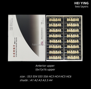Dents synthétiques en résine acrylique antérieure supérieure à deux couches, certifiées CE/ISO, multi-tons - Product Image 4
