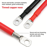 Cable de Batería de Cobre Puro de 10/16/25 mm² con Terminal de Cobre Estañado, Cable de Tierra para Conexión de Batería de Motor e Inversor