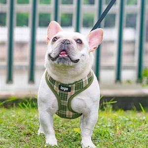 Gilet léger et respirant à motif cœur mignon, réglable, rembourré et doux, avec anneau en D au dos, pour petits <span class=keywords><strong>chiens</strong></span> (tailles XXS-L) - Product Image 4