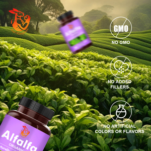 Cápsulas de Alfalfa Orgánica Premium, Suplemento de Vitaminas y Minerales para el Cuidado de la Salud y Refuerzo del Sistema Inmunológico - Product Image 5