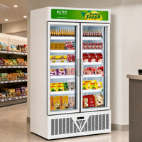 Congélateur commercial vertical vitré pour crèmes glacées, bœuf et fruits de mer