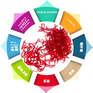 Sấm rồng 500g thức ăn vật nuôi-Giun Đỏ đông lạnh và thức ăn cho cá bao gồm cả giun máu tuyến trùng đỏ tôm nước muối luohan thức ăn cho cá - Product Image 4