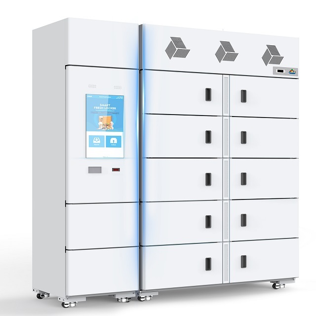 Smart Refrigerated/Chilled/Frozen Parcel Locker Electronic Lock Cold Rolled Steel ISO9001 CE Certified Pre-assembled Multi-use