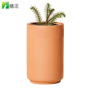 Nouvel arrivage de Bonsaï de palmier Kit de plantes en pot d'intérieur Macetas Bonsaï pour décorations de maison - Product Image 5