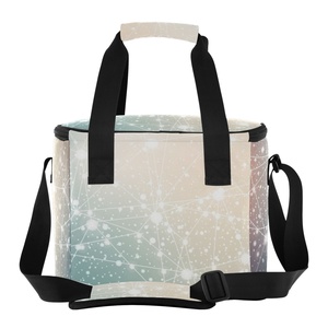 Sac isotherme multifonctionnel grand format pour étudiants, personnalisable avec logo, pour pique-nique, sac à bandoulière, prix de gros - Product Image 2
