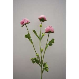 RANUNCOLO MINI SPRAY X3 72CM LL - Product Image 1