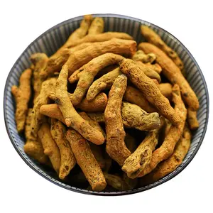 Atacado e Varejo Cúrcuma Finger Spice Tempero Açafrão Bulk