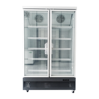 Nouveau congélateur vertical commercial à affichage vertical pour les aliments congelés à la crème glacée 0 ~-30 degrés