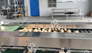 Línea de Procesamiento Automática, Lavadora de Burbujas de Alta Resistencia, Máquina Industrial para la Limpieza de Jengibre para Alimentos en Tailandia con Cepillo - Product Image 3
